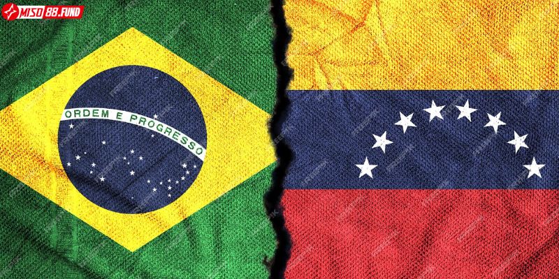 Soi kèo Brazil vs Venezuela khuôn khổ vòng loại World Cup 2026